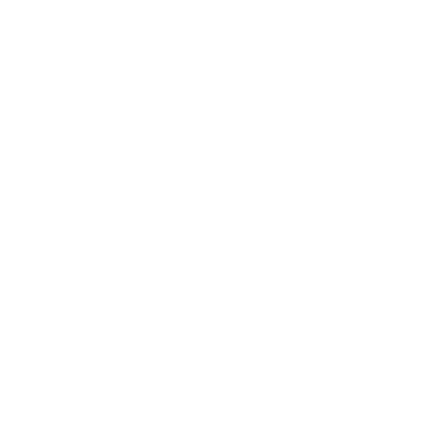 cameraFlash